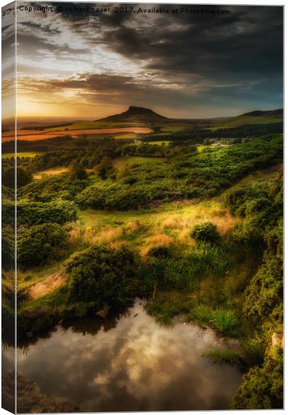 Natures Mirror  Canvas Print by richard sayer
