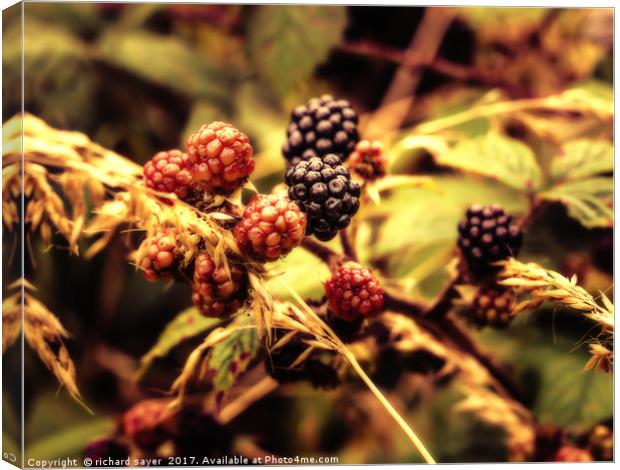 Fruits of the Forest Canvas Print by richard sayer