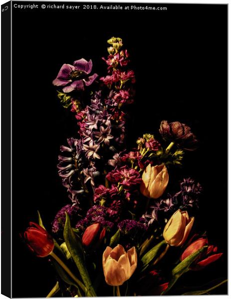 Blooming Spring Delight Canvas Print by richard sayer