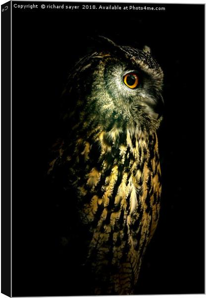 Eagle Owl Portrait Canvas Print by richard sayer