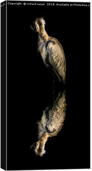 Resting Reflection Canvas Print by richard sayer