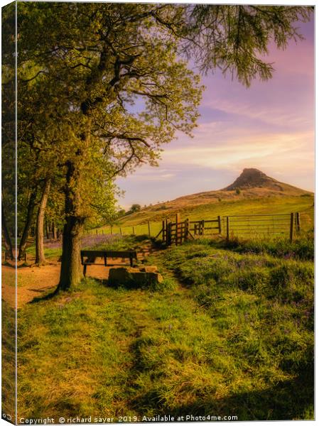 A Restful Place Canvas Print by richard sayer