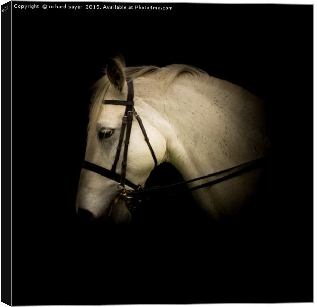 Graceful Spirit Canvas Print by richard sayer