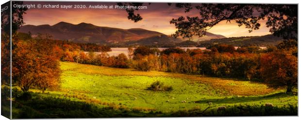 Derwent Glade Canvas Print by richard sayer