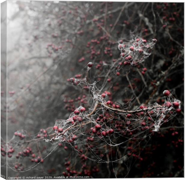 Enchanting November Berries Canvas Print by richard sayer