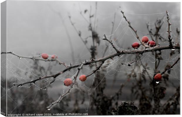 Natures Halloween Decorations Canvas Print by richard sayer