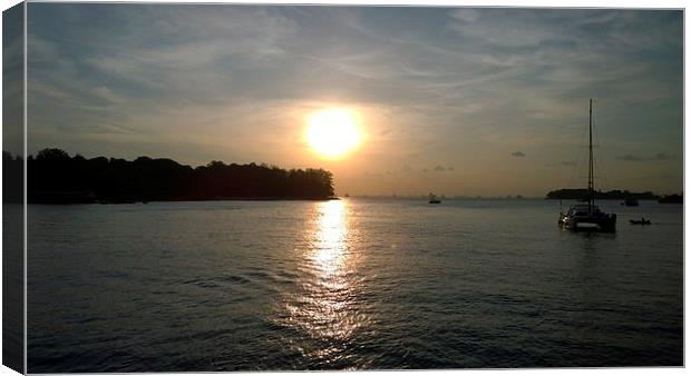 Sunsetting over St Johns Island Canvas Print by Mark McDermott