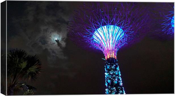 Gardens by the Bay & Moon Canvas Print by Mark McDermott