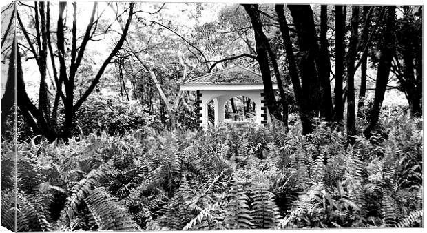 Shelter in the Woods Canvas Print by Mark McDermott