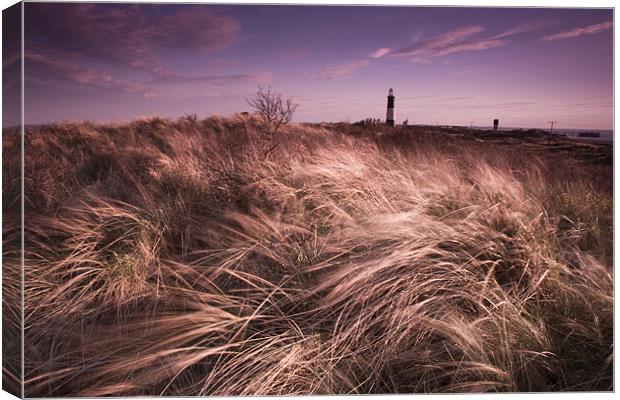 Spurn point lighthouse Canvas Print by Leon Conway