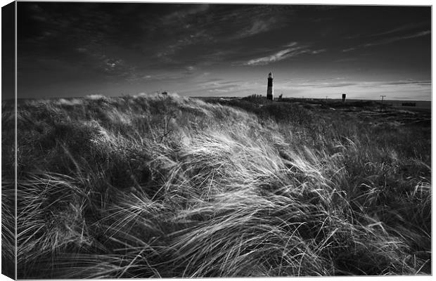 Spurn point light house Canvas Print by Leon Conway