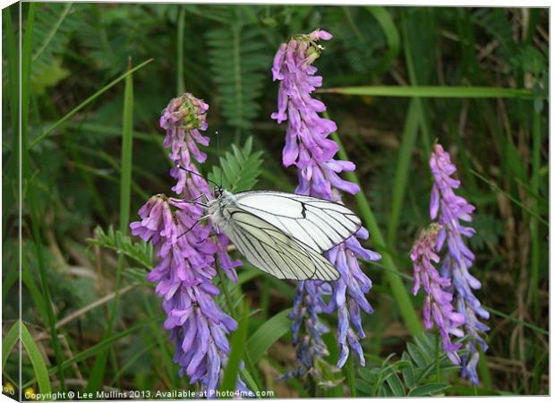 Black Veined White Canvas Print by Lee Mullins