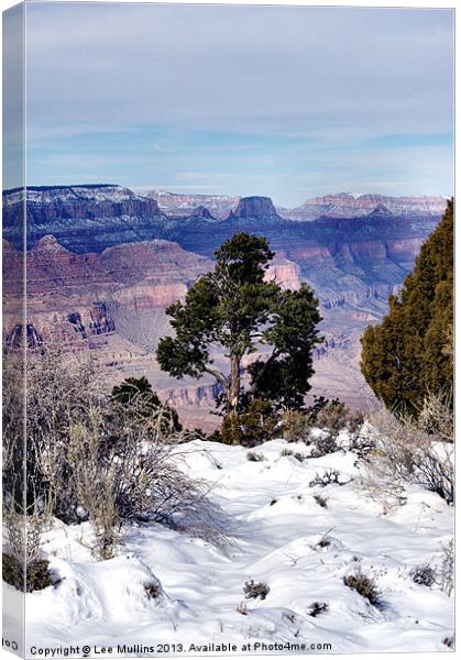 Winter at the Grand Canyon Canvas Print by Lee Mullins