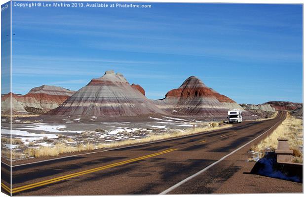 Restricted parking! Canvas Print by Lee Mullins