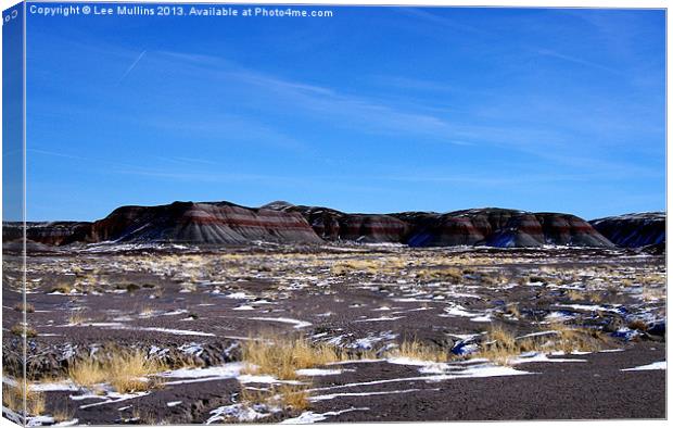 Painted Desert desolation Canvas Print by Lee Mullins