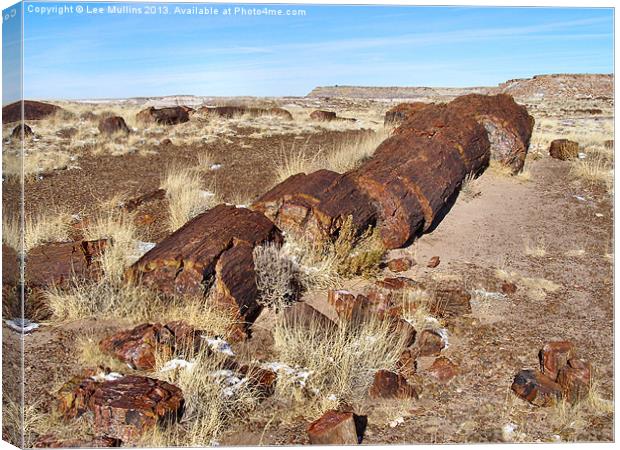 Shattered log of stone Canvas Print by Lee Mullins