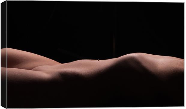 artistic nude Canvas Print by simon mallinder