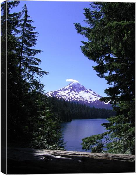 Mount Hood, Lost Lake, Oregon Canvas Print by Jay Huckins