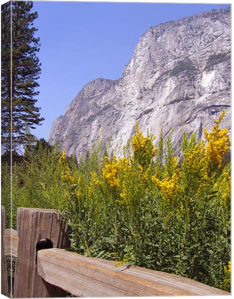 El Capitan, Yosemite National Park Canvas Print by Jay Huckins