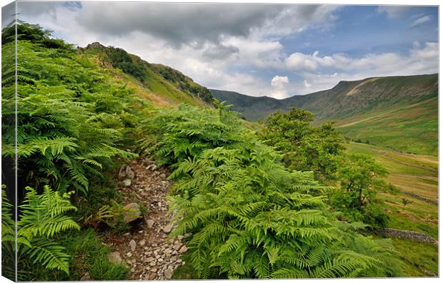 Rough Crag to High Street Lake District Canvas Print by Gary Kenyon