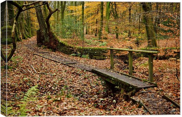 Roddlesworth Woods in the Autumn Canvas Print by Gary Kenyon