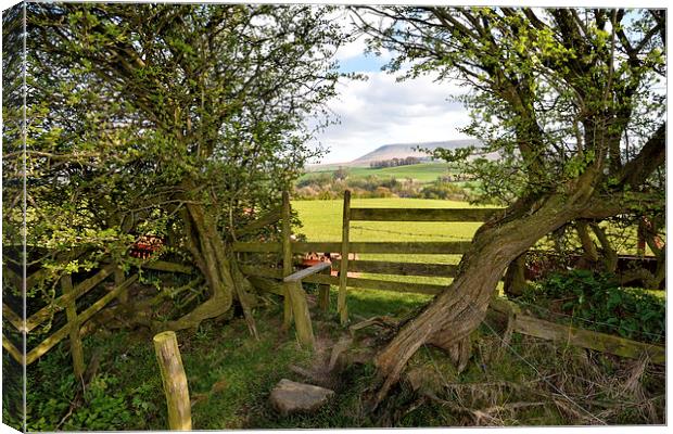 Views Of Pendle Hill Canvas Print by Gary Kenyon