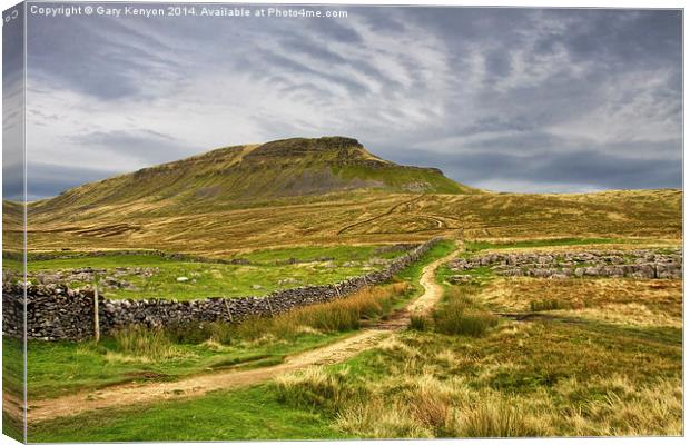  Path to Penyghent North Yorkshire Canvas Print by Gary Kenyon