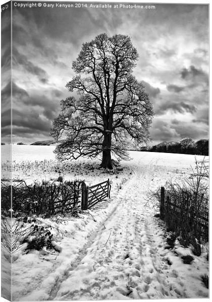  Snowy Entrance Keswick Canvas Print by Gary Kenyon
