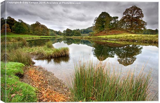  Reflections On The River Brathay Canvas Print by Gary Kenyon