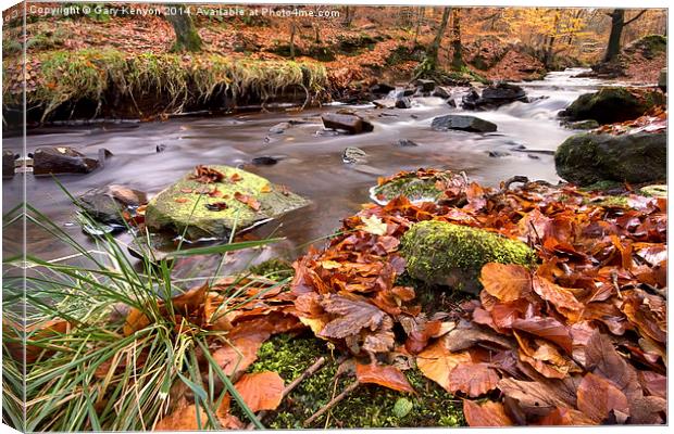  Autumnal Flow At Roddlesworth Woods Canvas Print by Gary Kenyon