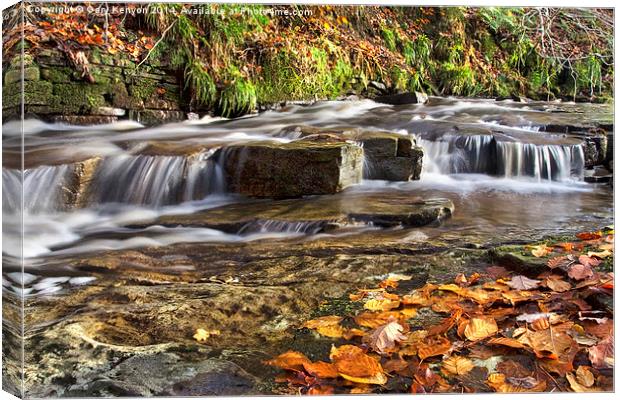  Autumnal Flowing Stream Canvas Print by Gary Kenyon