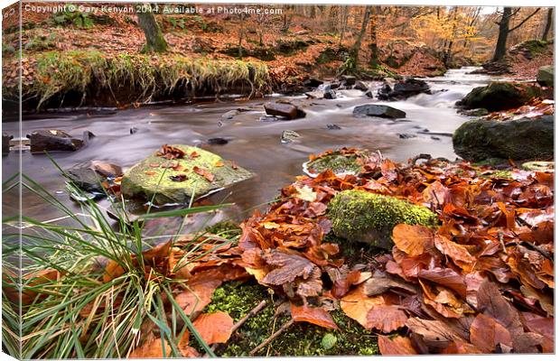  Roddlesworth Woods Stream In Autumn Canvas Print by Gary Kenyon