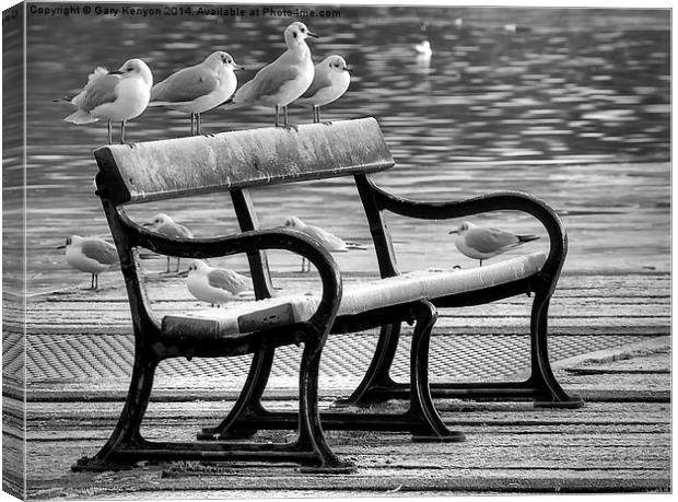  Bird Bench At Stanley park Canvas Print by Gary Kenyon