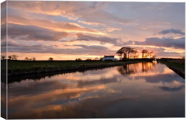 Sunset Reflection Condor Green Canvas Print by Gary Kenyon