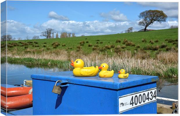  Rubber Ducks On The Lancaster Canal Canvas Print by Gary Kenyon