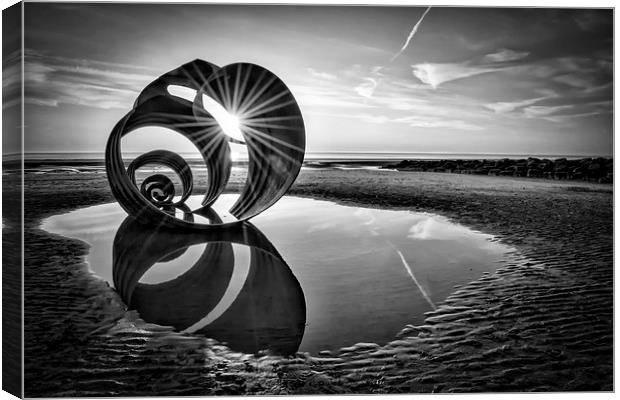 Mary's Shell Black and White Canvas Print by Gary Kenyon