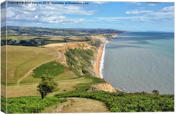 Dorset Views From Thorncombe Beacon Canvas Print by Gary Kenyon