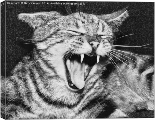 Sinbad The Cat Canvas Print by Gary Kenyon
