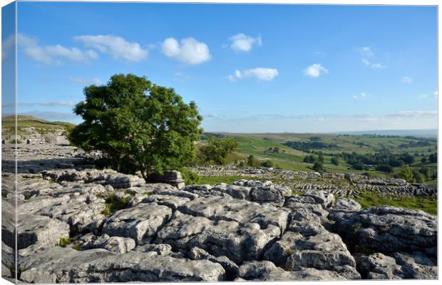 Limestone Pavements Malham Canvas Print by Gary Kenyon