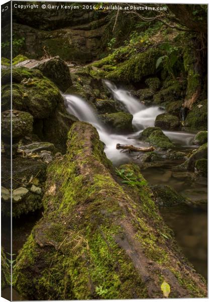 Flowing Water From Janet's Foss Canvas Print by Gary Kenyon