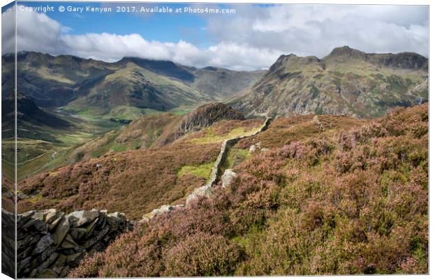 View past the heather on Lingmoor Fell Canvas Print by Gary Kenyon