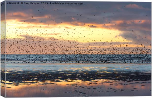 Starlings at Sunset Blackpool Canvas Print by Gary Kenyon