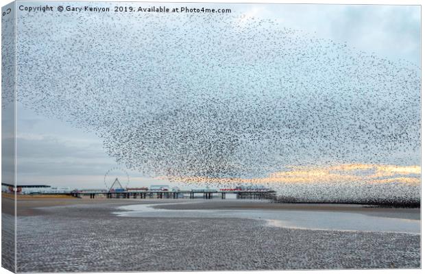 Starlings over Central Pier Canvas Print by Gary Kenyon