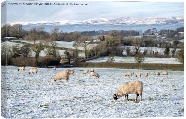 Winter Views from Downham Canvas Print by Gary Kenyon