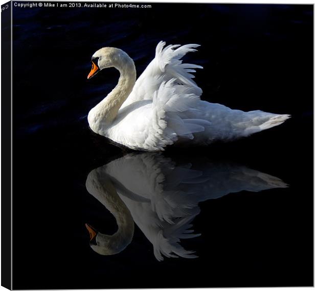 Swan with reflection Canvas Print by Thanet Photos