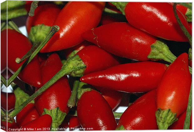 Red Chilli Canvas Print by Thanet Photos