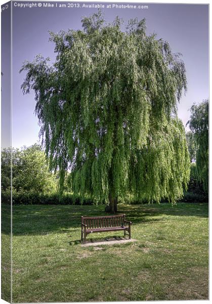 Bench under a willow tree Canvas Print by Thanet Photos