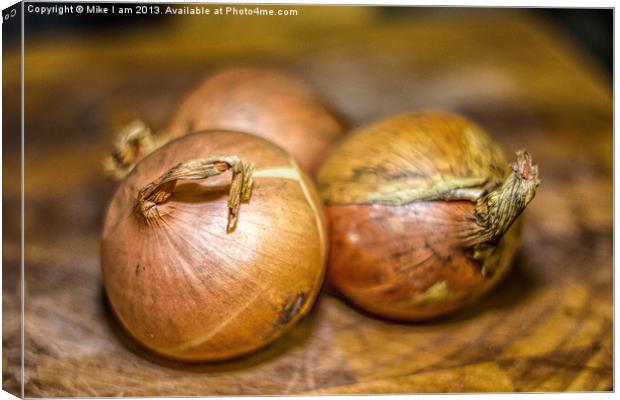 Know your Onions Canvas Print by Thanet Photos