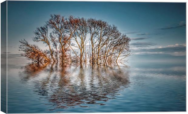 Tranquility Canvas Print by Thanet Photos