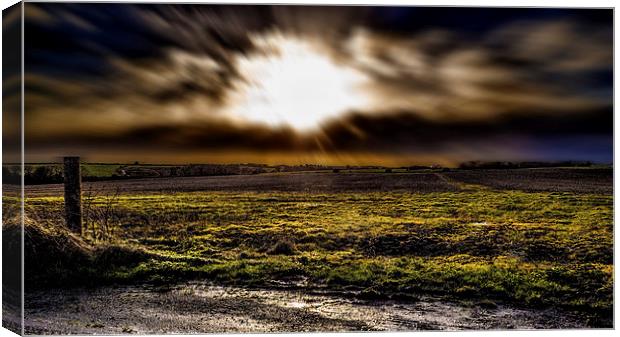 The field Canvas Print by Thanet Photos